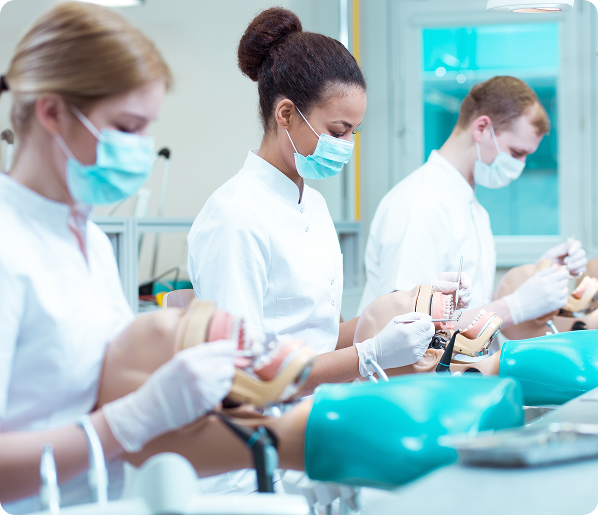 Dental education in progress with mannequins