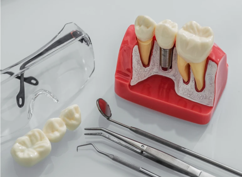 Dental tools and tooth model display